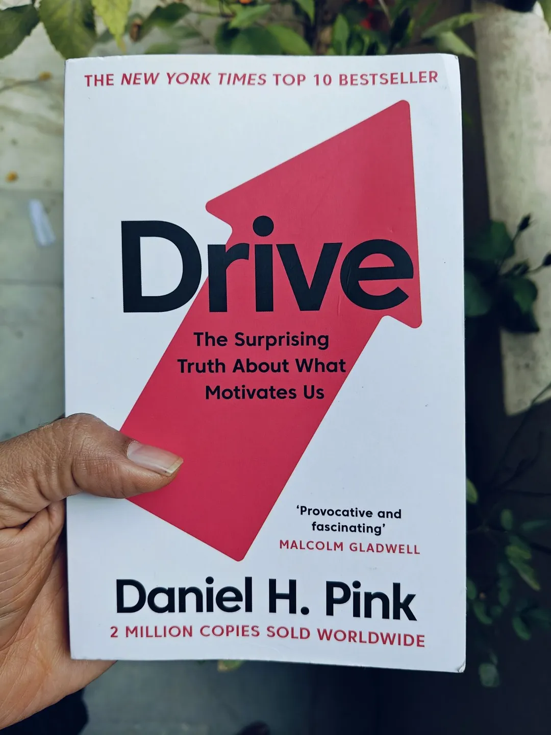 Cover of Drive