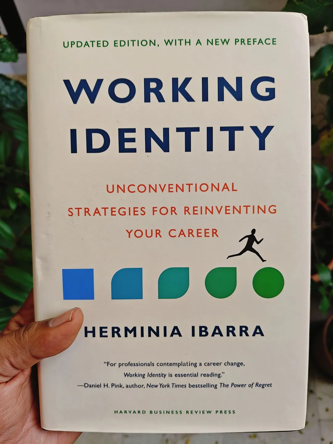 Cover of Working Identity