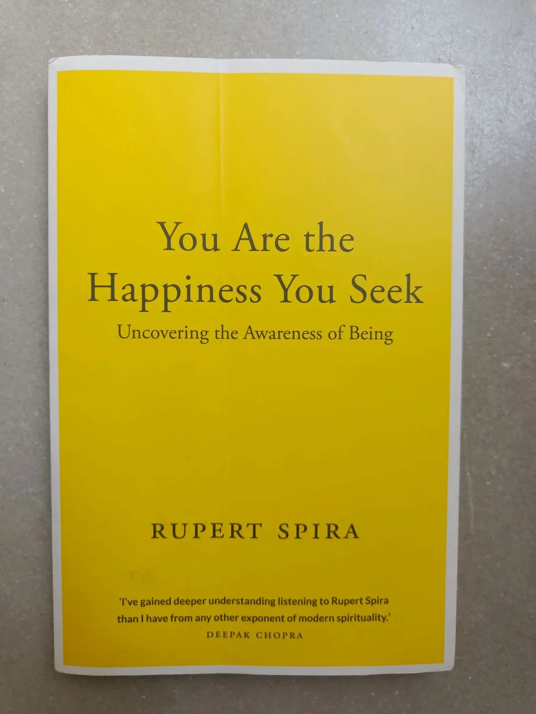 Cover of You Are The Hapiness You Seek