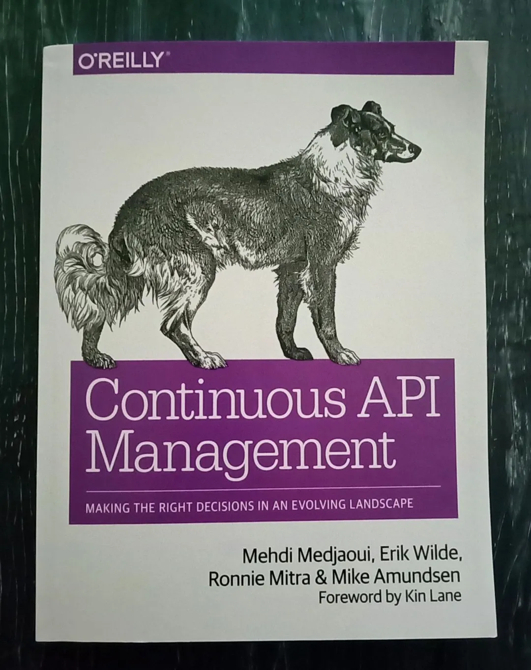 Cover of Continuous API Management