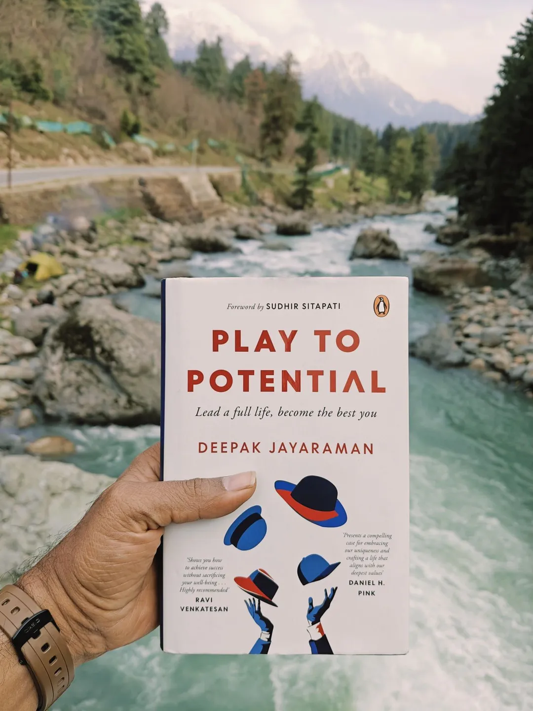 Cover of Play To Potential