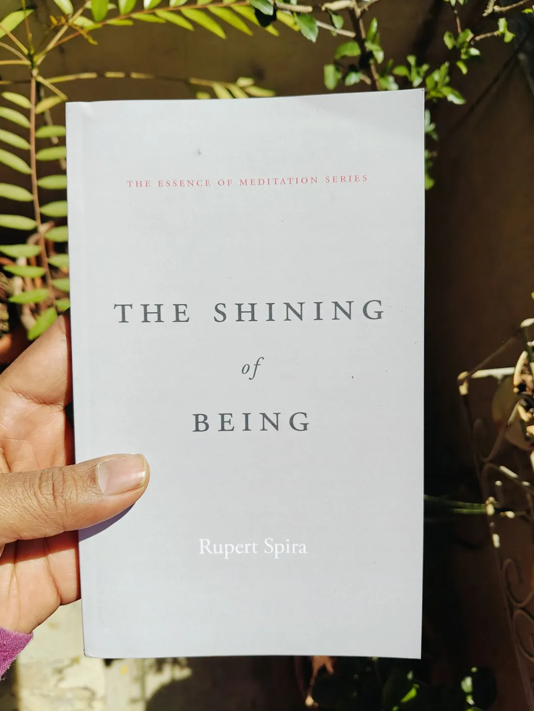 Cover of The Shining Of Being