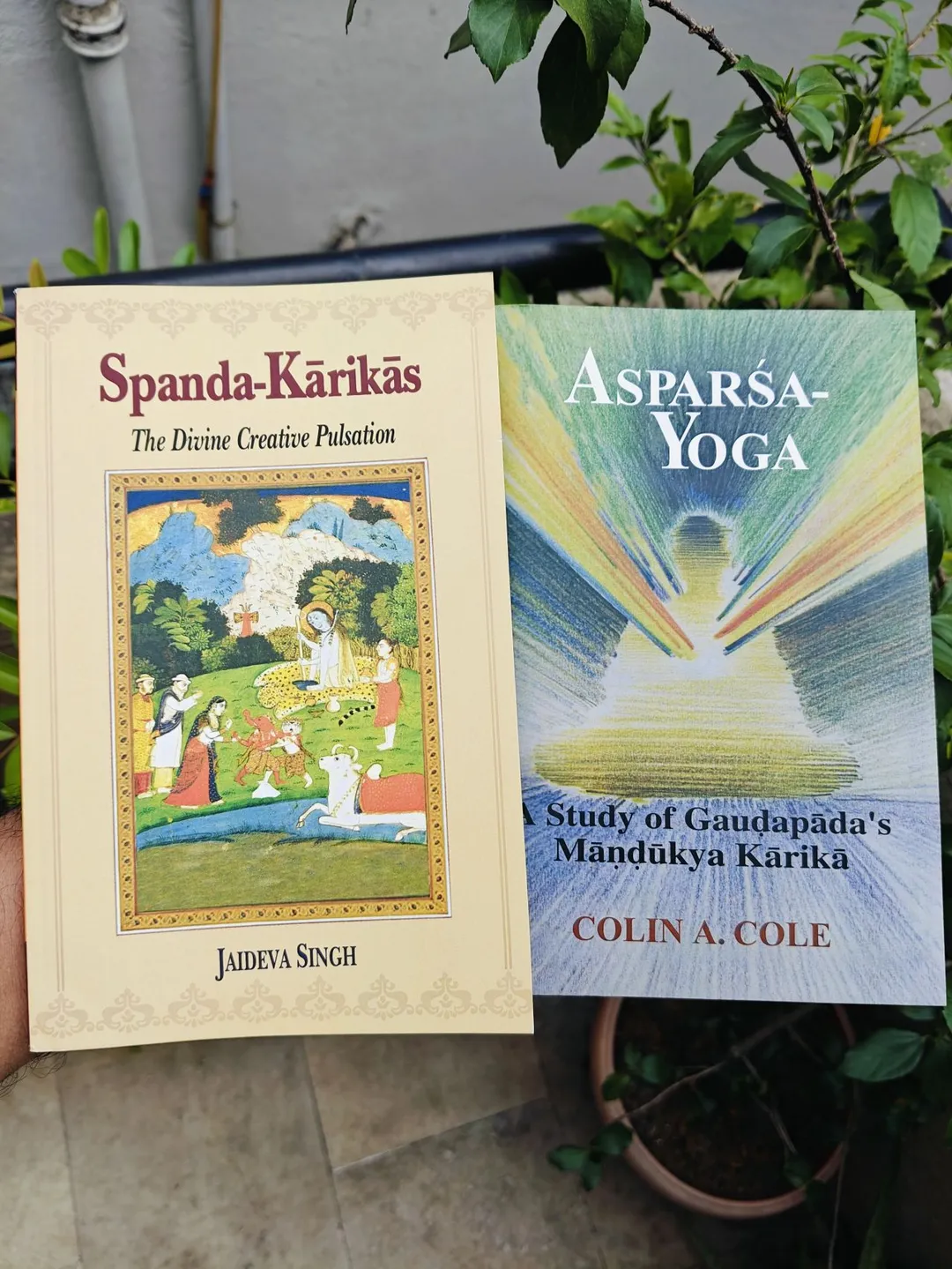 Cover of Spanda Karika